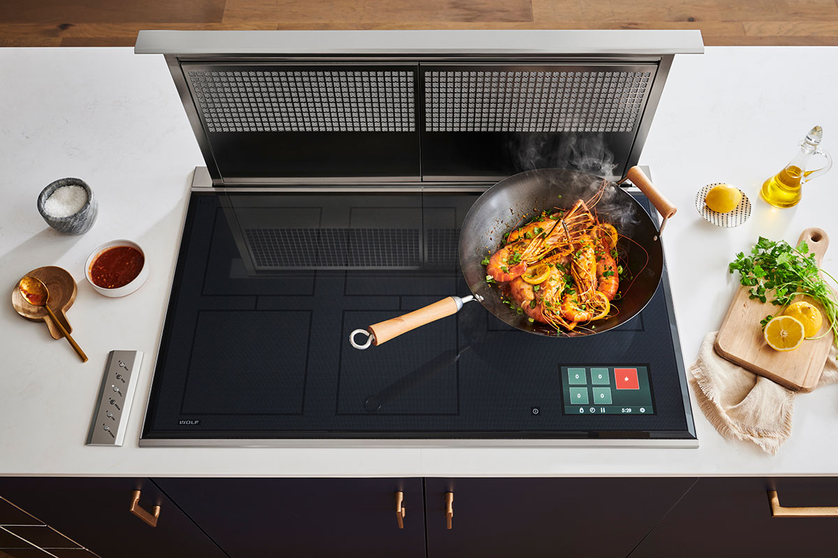 Wolf downdraft ventilation